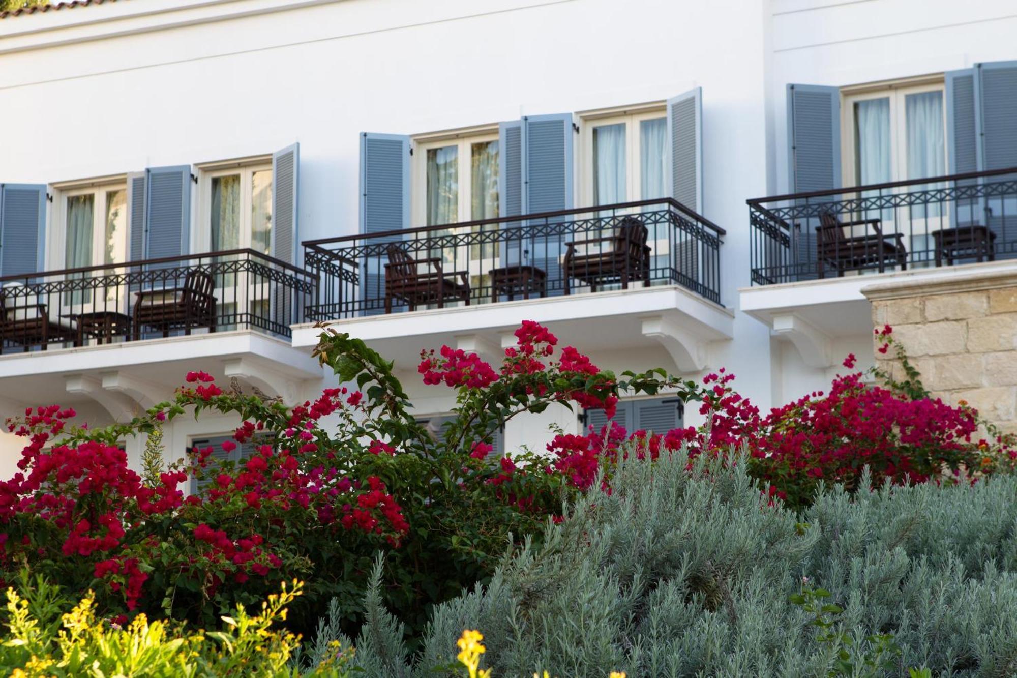 Anassa Hotel Polis Room photo